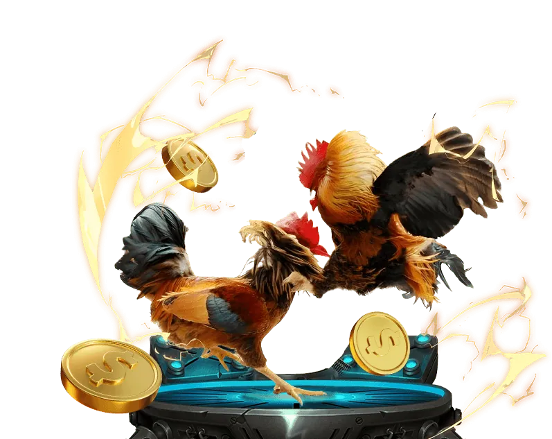Đá gà trực tuyến Gamebet với không khí sôi động